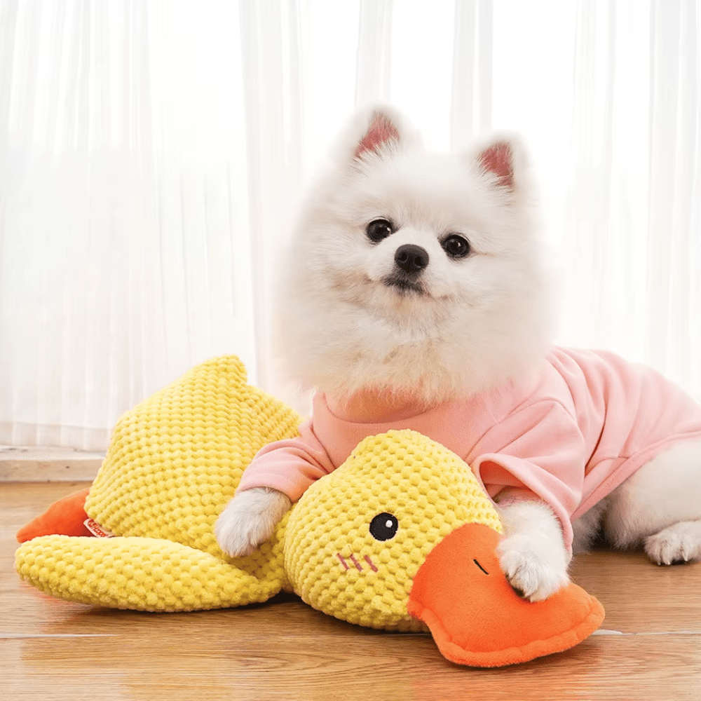 CalmiDuck™ - De antistress eend die je hond rust en plezier geeft. Tijdelijk 1+1 GratisMaison Pets14:350850medium Duck