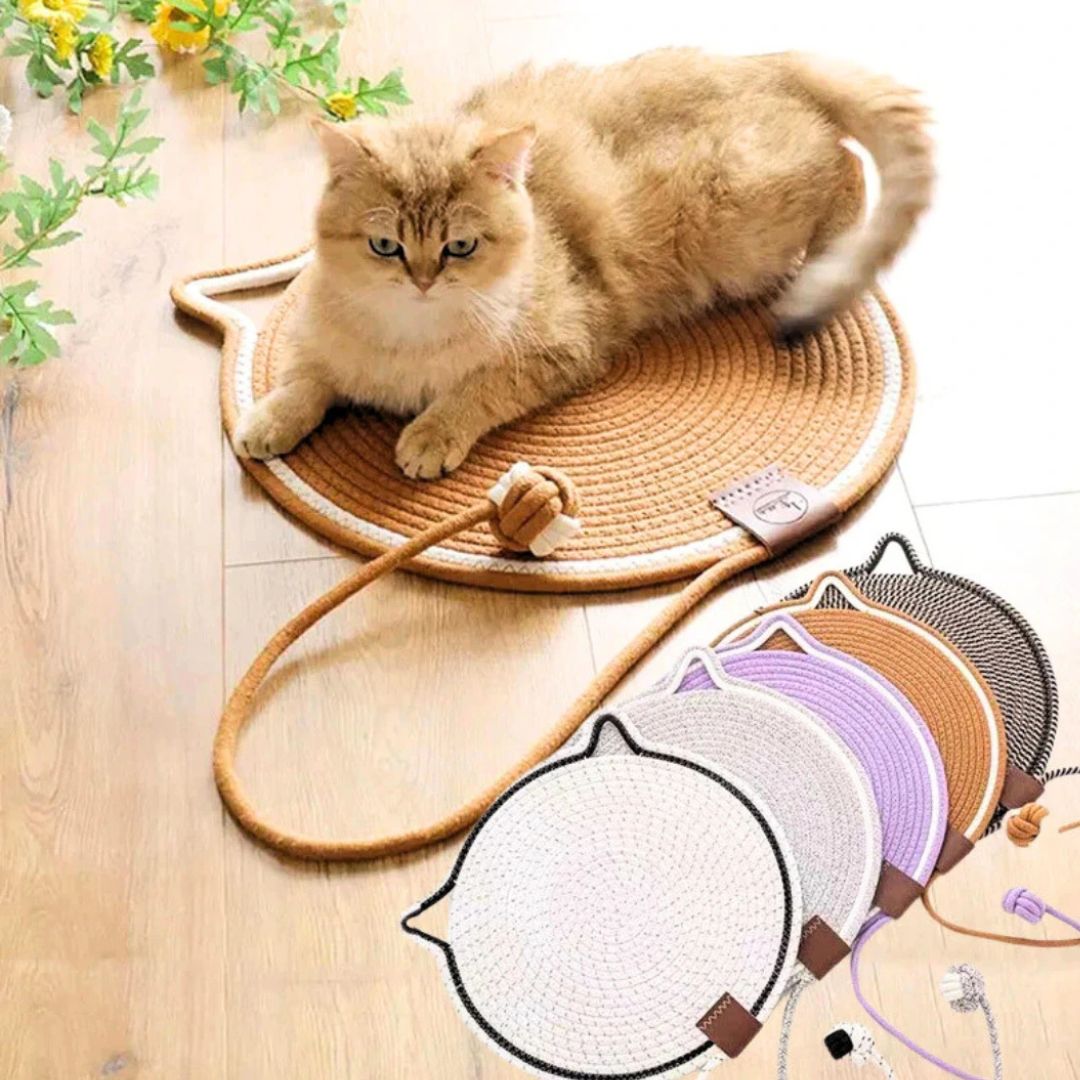 CatScratch™ Krabben zonder kleerscheuren.Maison Pets5279645823264-V2Paars