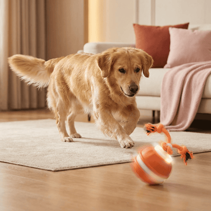 HuntBall™ - Interactief spel voor je hond, ook als jij er niet bij bent.Maison PetsLT10293171Blauw