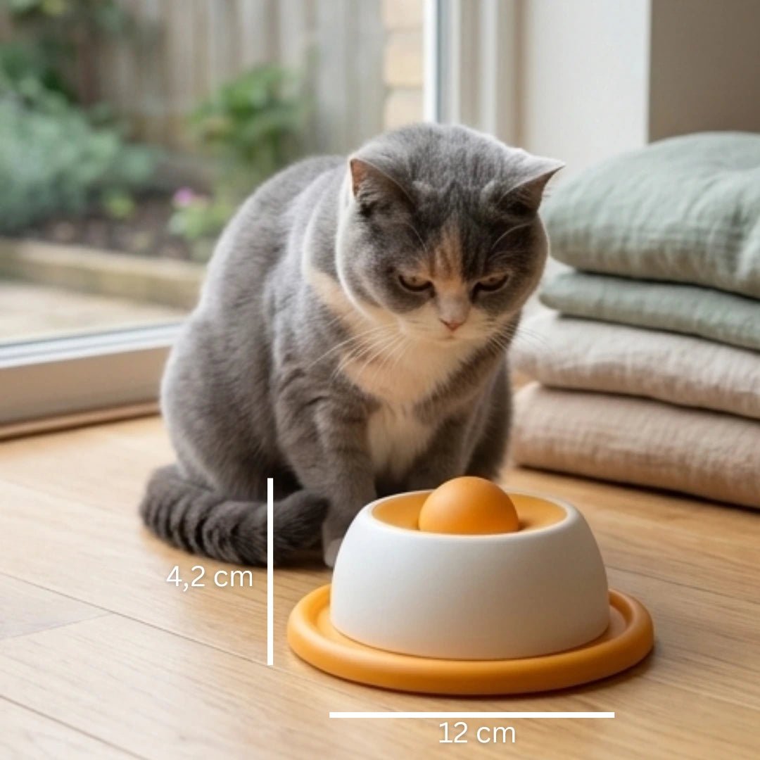 LickLoop™ - Rustiger eten, minder stress, betere spijsverteringMaison Pets6084979162591-V2-1