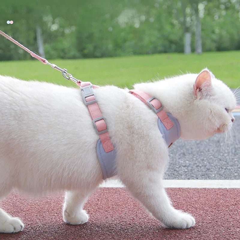 FitWalk™ - Optimale bewegingsvrijheid bij elke stapMaison Pets14:350850Kahki;5:100014064XS 2-3 kgKakiXS (2 - 3kg)