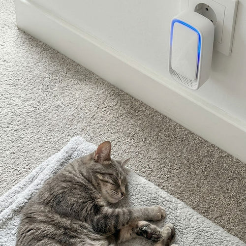 FreshGuard luchtreiniger — neutraliseert kattengeur in slaapkamer