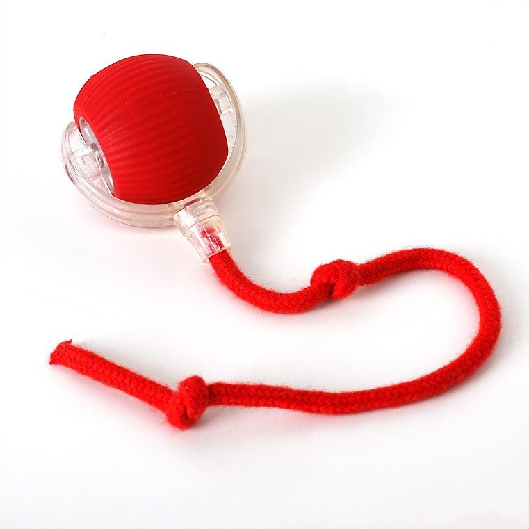 ChaseBall™ - De interactieve speelbal die verveling doorbreektMaison Pets5706614126875-V2Rood