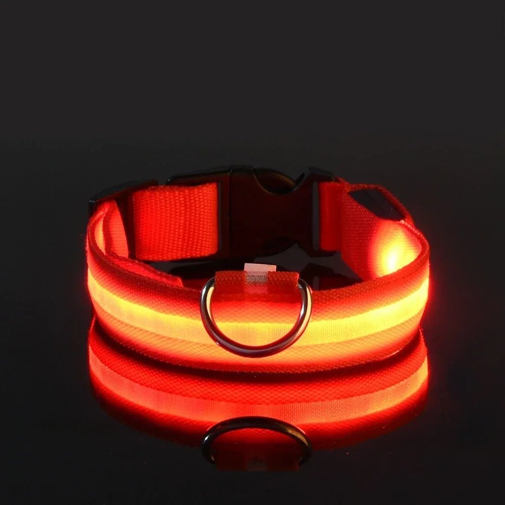 LumiGuard™ LED Halsband - Veilig en zichtbaar in het donkerMaison Pets22371VD1762219582-Orange-XS-28-38cmOranjeXS (nekomvang: 28 - 34cm)