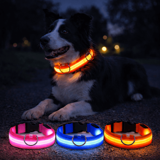 LumiGuard™ LED Halsband - Veilig en zichtbaar in het donkerMaison Pets22371VD1762219582-Orange-XS-28-38cmOranjeXS (nekomvang: 28 - 34cm)