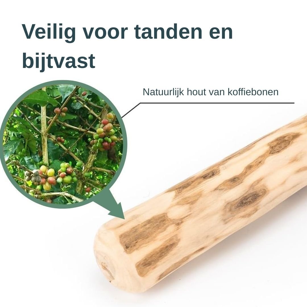 EcoChew™ - Veilig kauwen. Gezond gebit. Minder stressMaison Pets1005007493820438-WHITE-XXSNaturelXXS