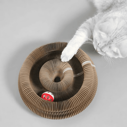 Magic Krabbord™ - Dé oplossing tegen verveling, stress en krabben aan meubels.Tijdelijk 1+1 GratisMaison Pets