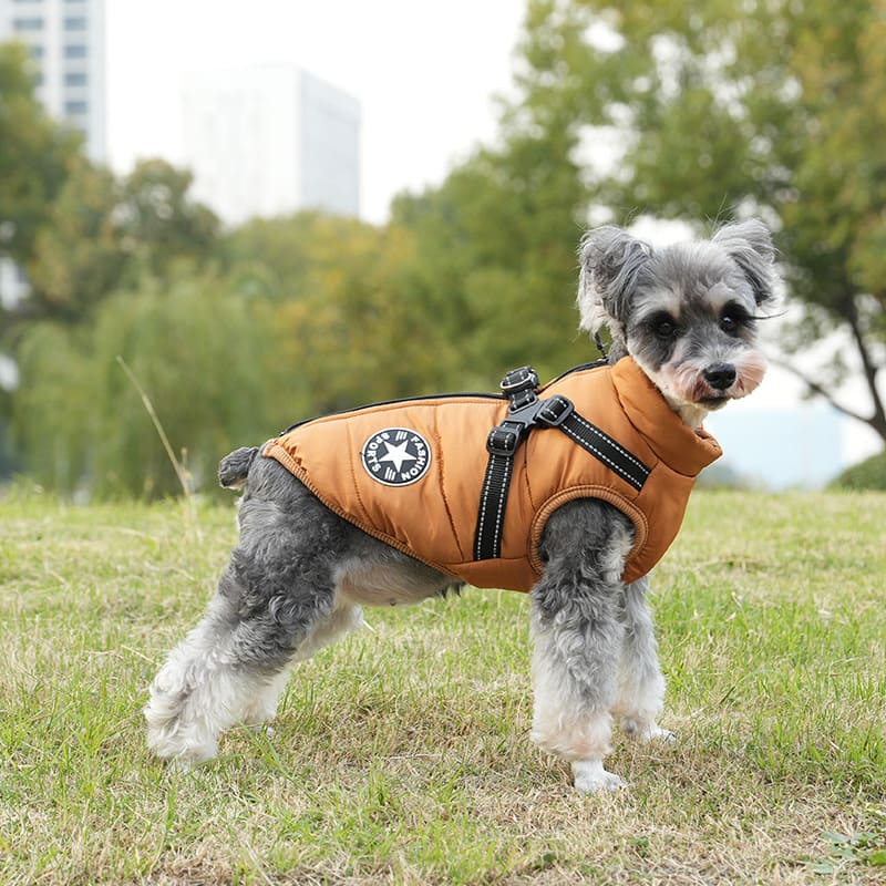 FurDry™ Waterproof Hondenjas - Warm en droog bij elk weertypeMaison PetsDog jacket-Orange-SOrangeS