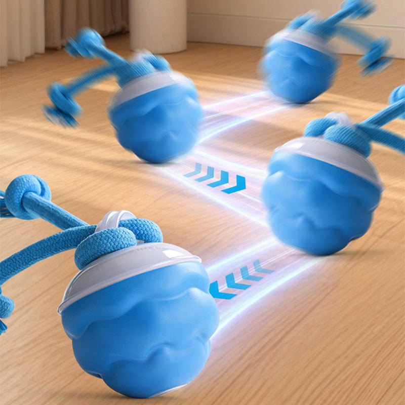 HuntBall™ - Interactief spel voor je hond, ook als jij er niet bij bent.Maison PetsLT10293171Blauw