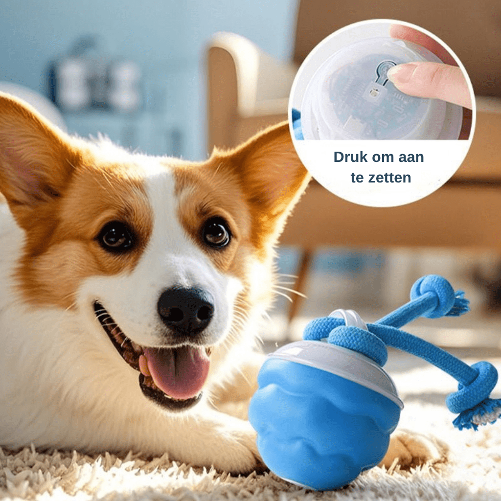 HuntBall™ - Interactief spel voor je hond, ook als jij er niet bij bent.Maison PetsLT10293171REDRood