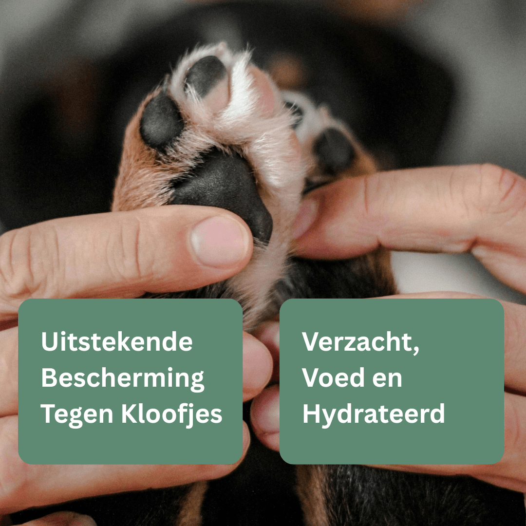 PawSalve™ Zachte poten zonder kloofjesMaison Pets5966793455198-V2