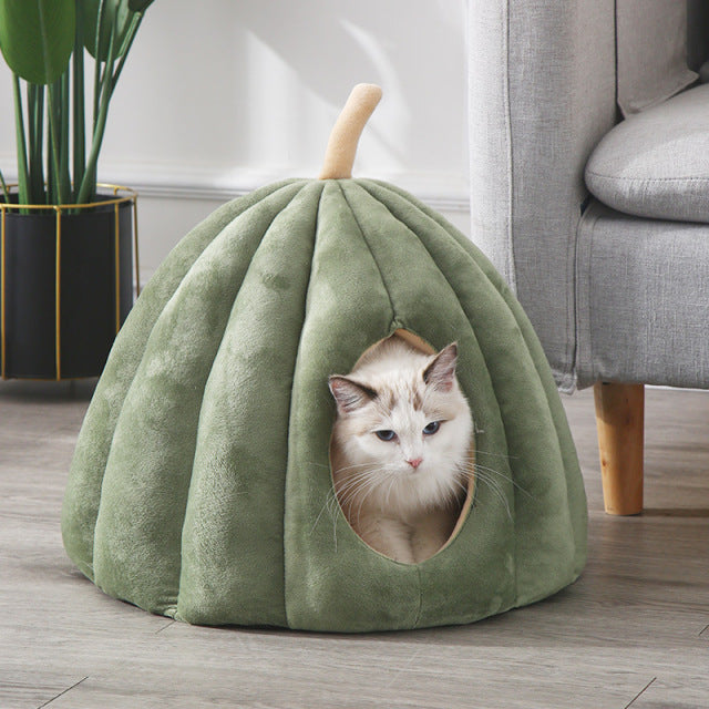 Overdekte kattenmand pompoen — knus kattenhuis waar je kat in wegkruipt