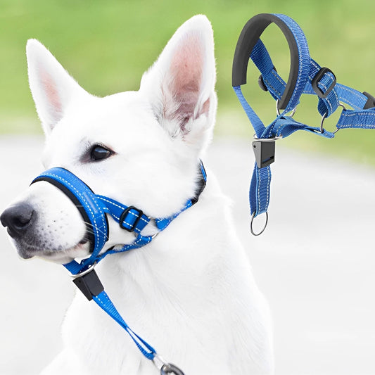 Anti-trek hoofdharnas hond blauw — Husky met harnas aan lijn en productinzet met nek- en neusgedeelte