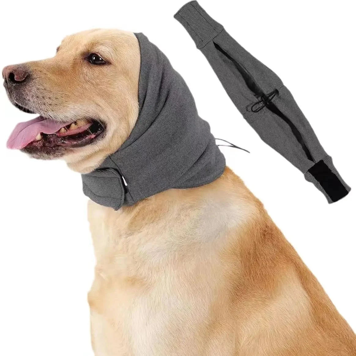 Oorbeschermers hond, elastische hoofdband over de oren, productfoto 2