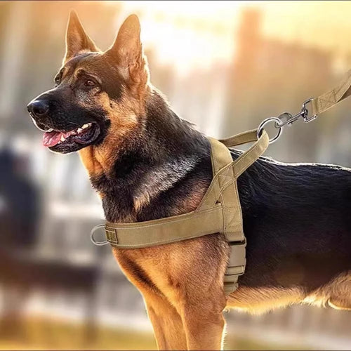 Tactisch no-pull harnas hond — grip met bovenhandvat