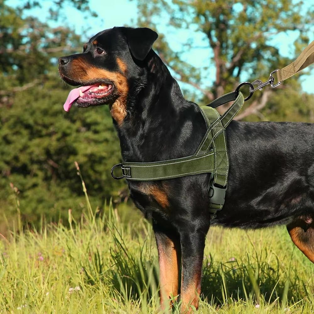 Tactisch no-pull harnas hond — grip met bovenhandvat