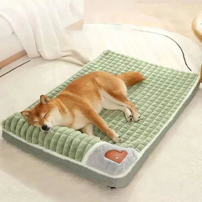 Orthopedisch hondenbed met stevige support-foam in groen — slapende Shiba Inu in slaapkamer
