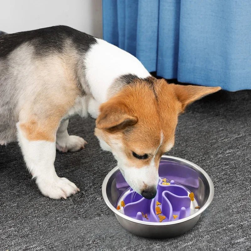 Anti-schrok voerinzet siliconen voor honden