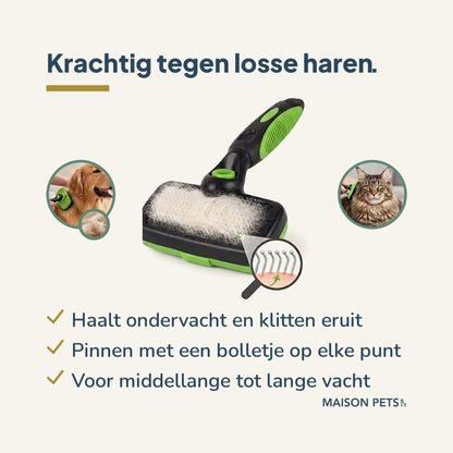 Zelfreinigende slickerborstel hond en kat — infographic met golden retriever, Maine Coon en pinnentips