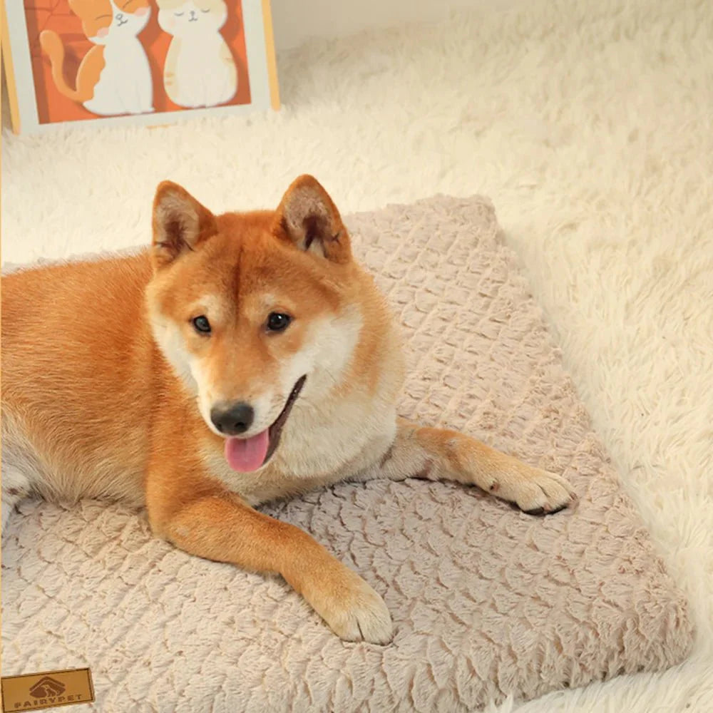 SupportBed hondenbed sfeerbeeld — hond slaapt rustig op pluche hondenbed