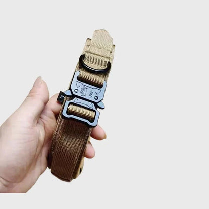 Hondenhalsband riem set — complete set uitgelegd op witte achtergrond