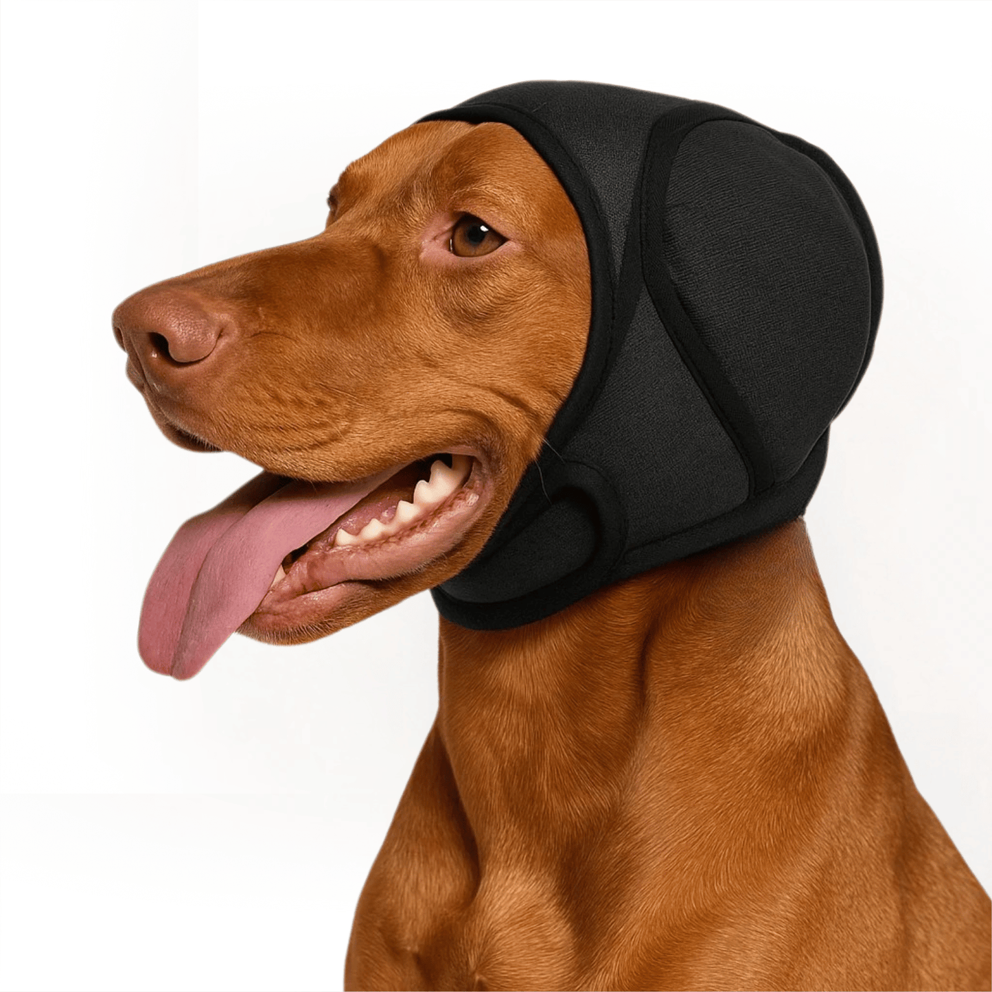 Honden oorbeschermers maattabel — S M L voor kleine en middelgrote honden