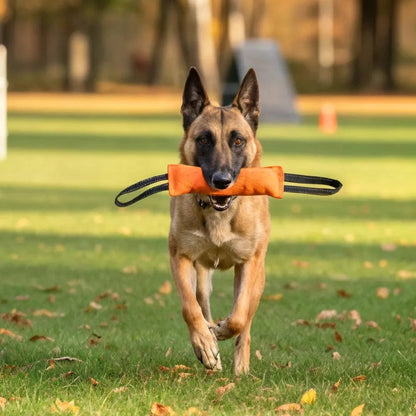 Trektouw voor hond