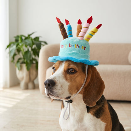 Verjaardagsmuts hond en kat blauw — beagle draagt de pluche feestmuts met het koord onder de kin