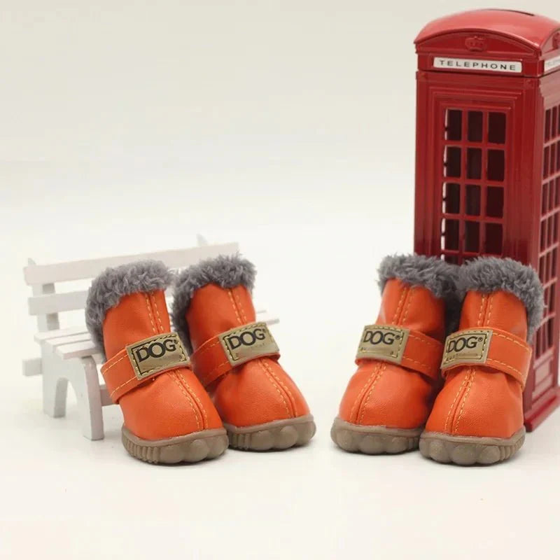 Hondenschoenen waterdicht — hond in sneeuw met schoenen aan