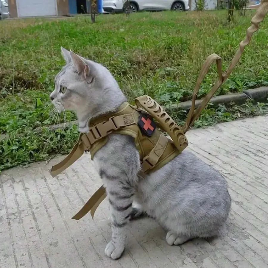 Waterdicht kattenharnas verstelbaar vest voor katten