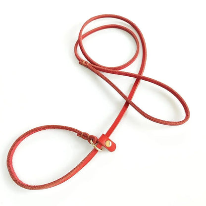 Leren slipriem hond in rood