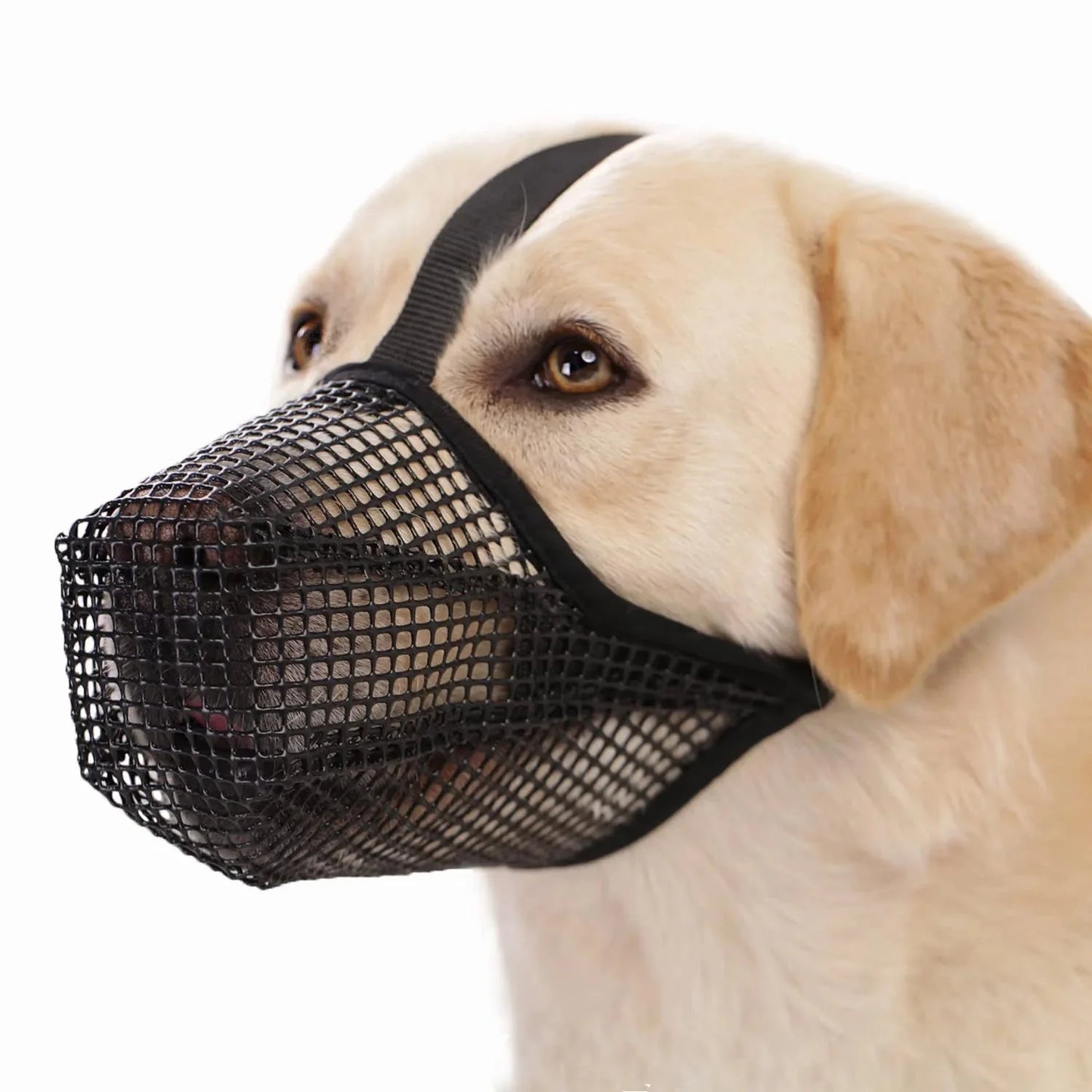 Zachte muilkorf hond zwart — ademend mesh vooraanzicht